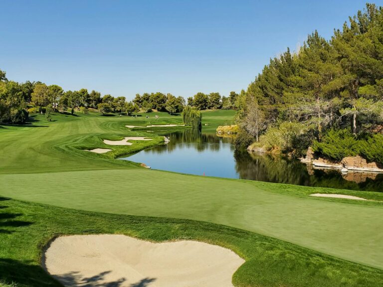 Du tee au green : comment aborder chaque étape d'un parcours de golf pour maximiser votre plaisir et réduire votre score