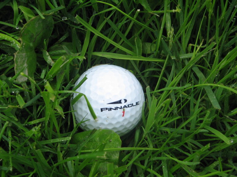 Sur un parcours, le rough au golf désigne les zones où l’herbe est volontairement laissée plus haute et plus épaisse que sur le fairway.